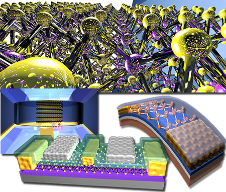 Sci_IllustrationProjects